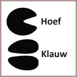 Hoef en klauw